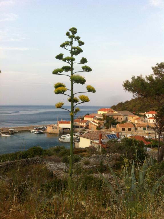 Apartments Katja Mali Losinj Exterior photo